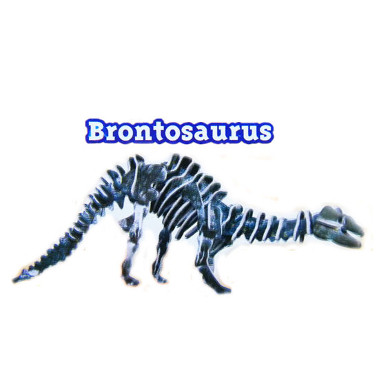 공룡3D_BRONTOSAURUS