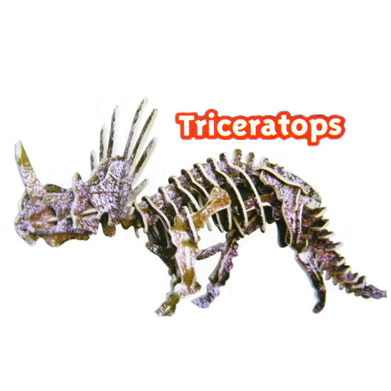 공룡3D_TRICERATOPS